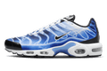 Nike® Air Max Plus Light Photography Old Royal